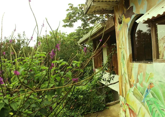 Casa Alquimia