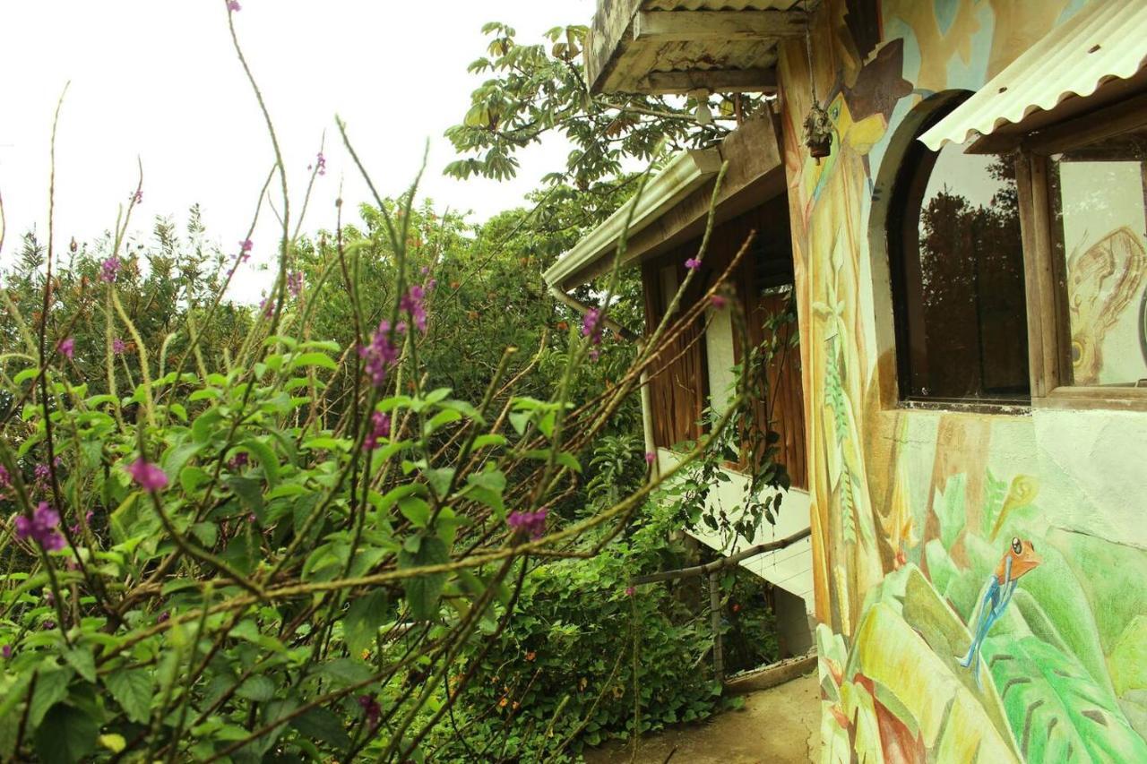 Casa Alquimia 2*