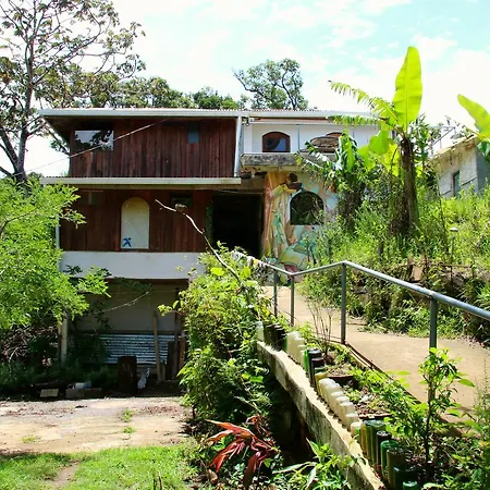 Casa Alquimia Hotel Monteverde Exterior photo